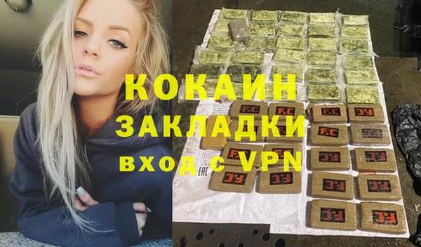 мдпв Каменка