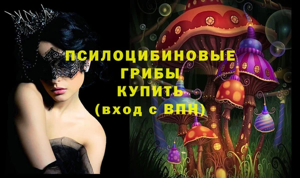 spice Мегион