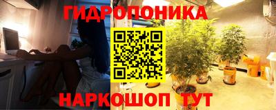 молекула духа Гусев