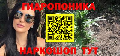 шишки Абакан