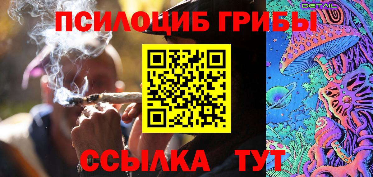 Партизанск  Псилоцибиновые грибы Psilocybe  Вход с VPN 